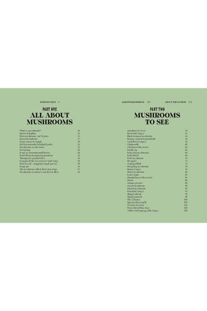 A Guide for the Curious: Mushrooms