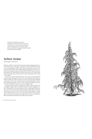 Cascadia Field Guide
