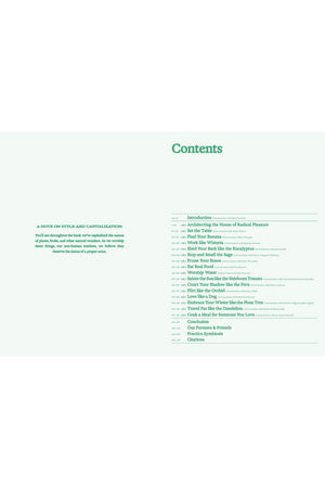 Flamingo Estate: The Guide to Becoming Alive