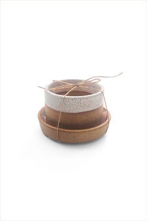 Succulent Planter Wide Nude/White