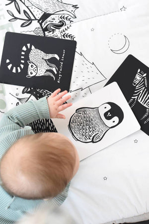 Baby Animal Art Cards