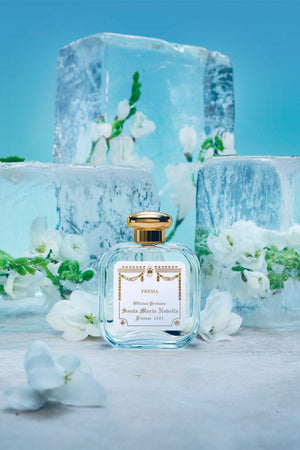 Santa Maria Novella Cologne Fresia