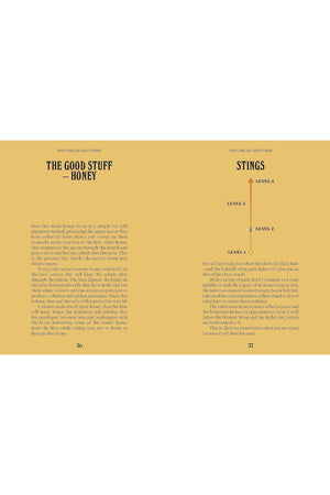 A Guide for the Curious: Bees