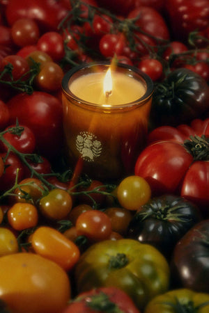 Roma Heirloom Tomato 8oz Candle