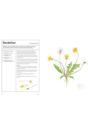 Healing Garden: Cultivate Your Garden to Treat, Feed, and Soothe