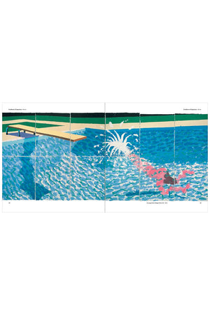 Hockney's Pictures