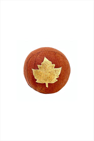 Mini Surprise Ball Thanksgiving Gratitude