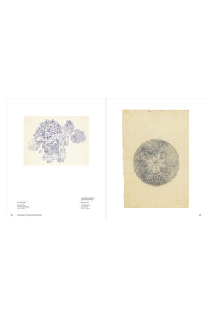 Ruth Asawa: Citizen of the Universe