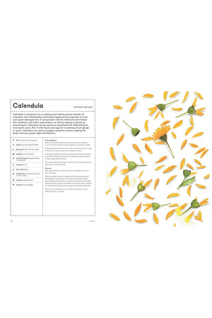 Healing Garden: Cultivate Your Garden to Treat, Feed, and Soothe