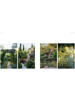 Dreamscapes: Inspiration and Beauty in Gardens Near and Far