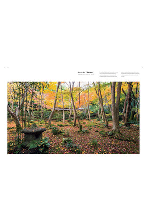 Dreamscapes: Inspiration and Beauty in Gardens Near and Far