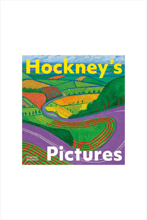 Hockney's Pictures