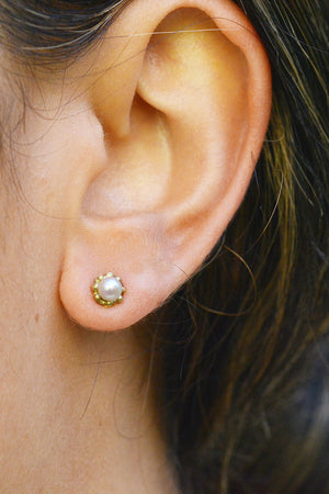 Francesca Lacagnina Akoya Pearl Studs