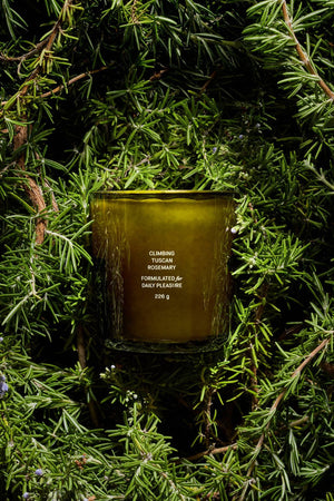 Climbing Tuscan Rosemary 8oz Candle