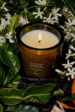 Night Blooming Jasmine & Damask Rose 8oz Candle