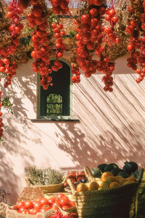 The Tomato XL 26oz Candle