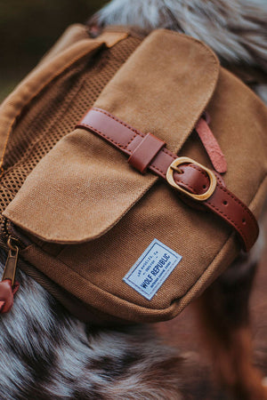 Ranger Dog Backpack