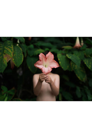 All the Colors I Am Inside: The Beauty of Human Intuition