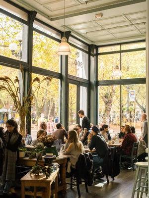 The London Plane Flowers and Cookbook