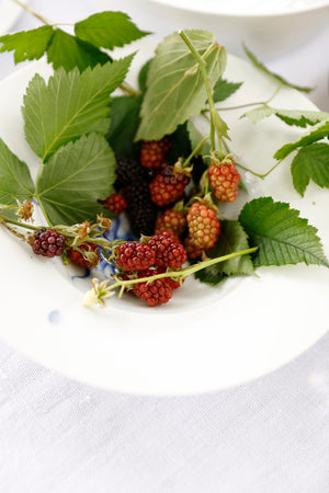 Hering Berlin Cuttlefish Deep Bowl