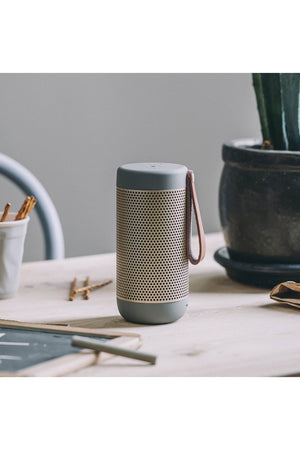 aCOUSTIC Speaker - Cool Gray
