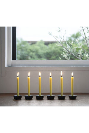 Nanohana Canola Flower Set of 24