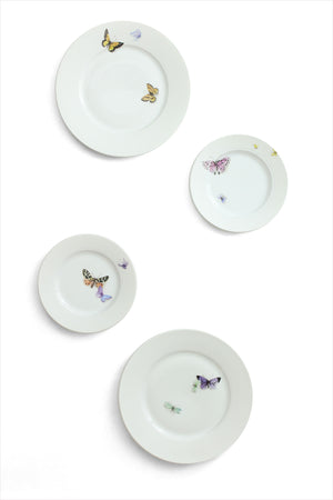 Nymphenburg Butterfly Plates Large and Small