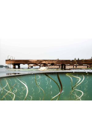 The Lake by Robin Layton