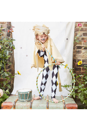 Lion Costume