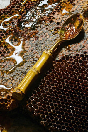 Native Wildflower Honey
