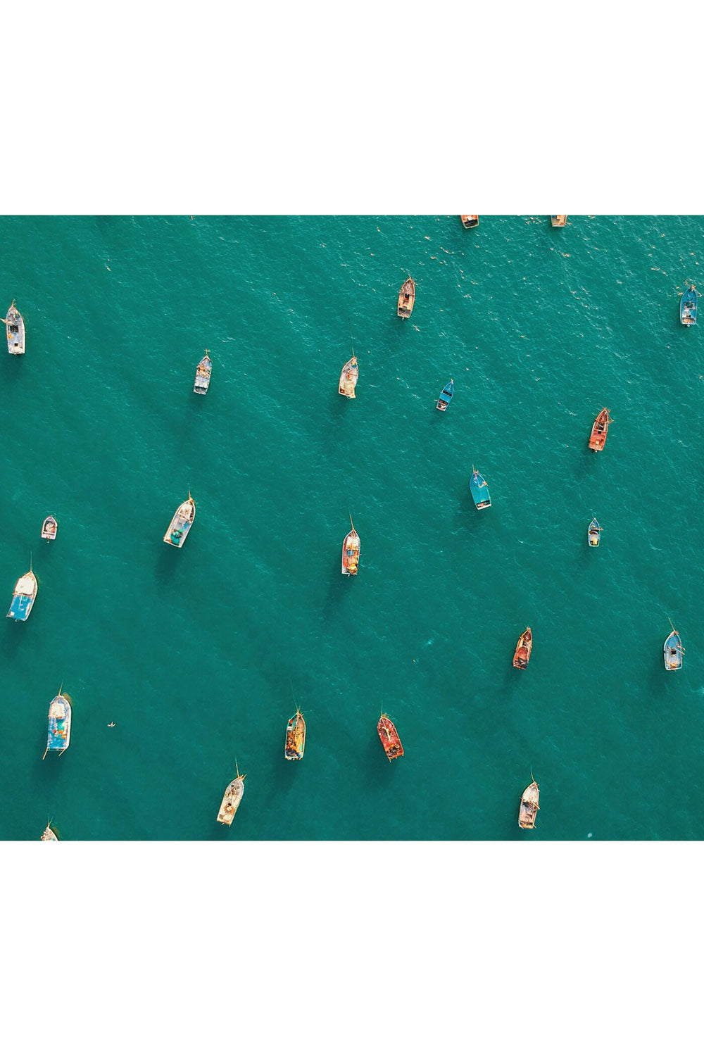 Accidentally Wes Anderson: Adventures Book