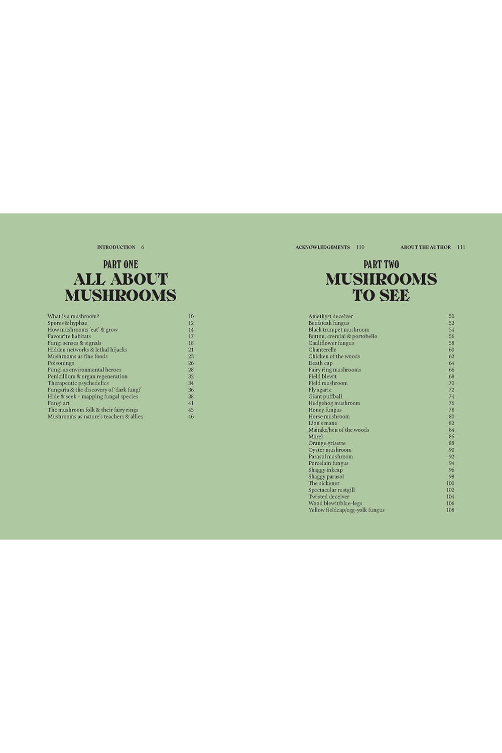 A Guide for the Curious: Mushrooms