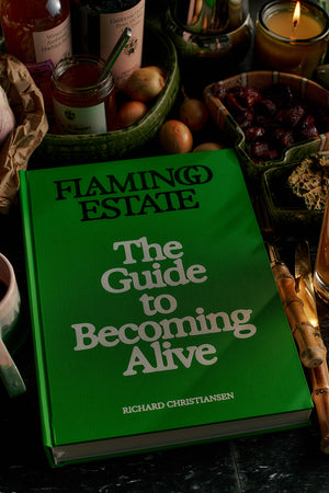 Flamingo Estate: The Guide to Becoming Alive
