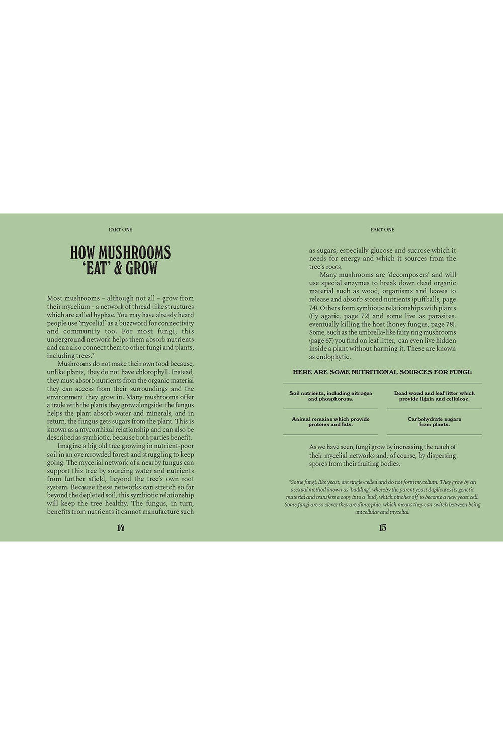 A Guide for the Curious: Mushrooms