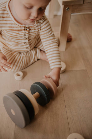 Wooden Ring Stacker Toy Earth