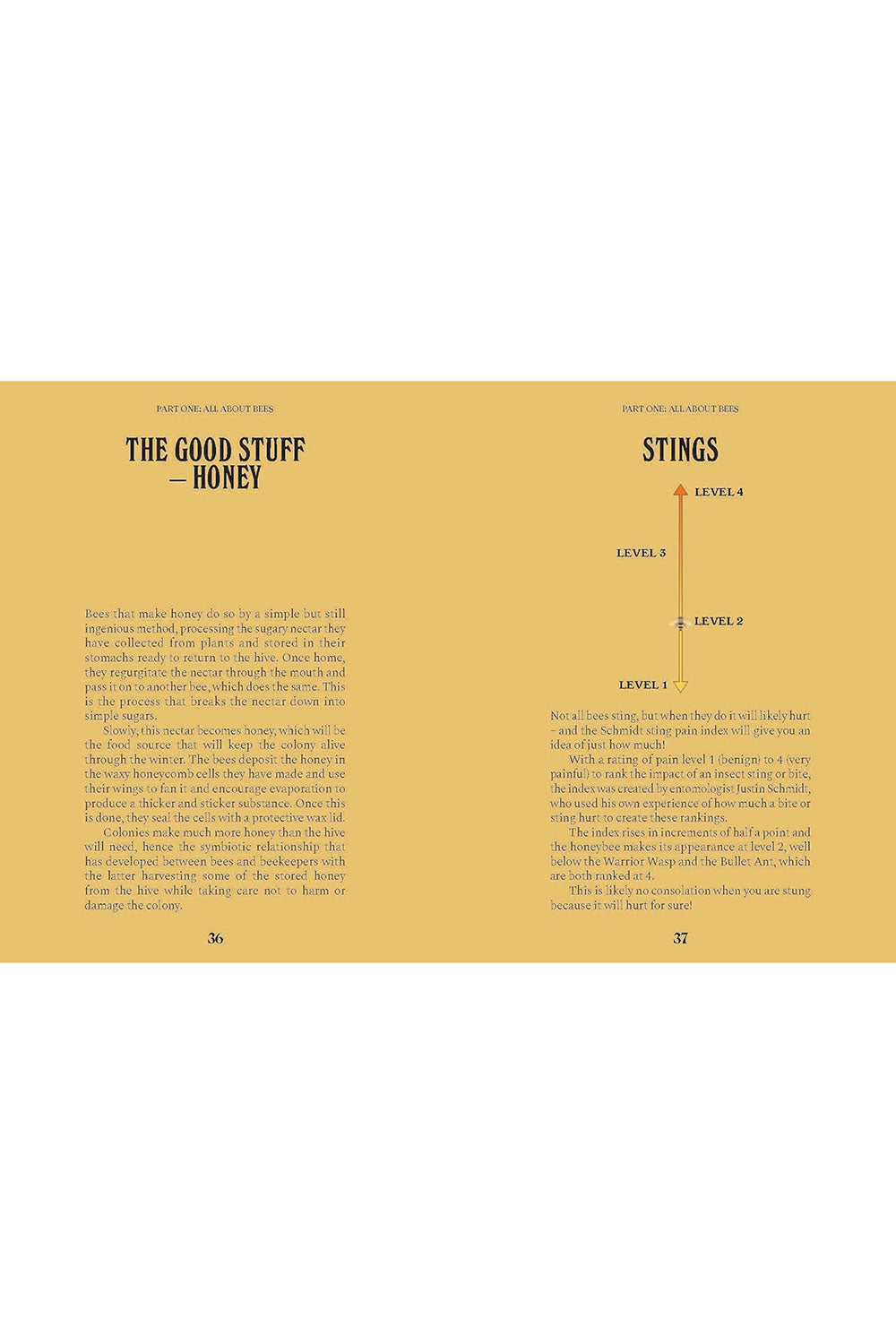 A Guide for the Curious: Bees