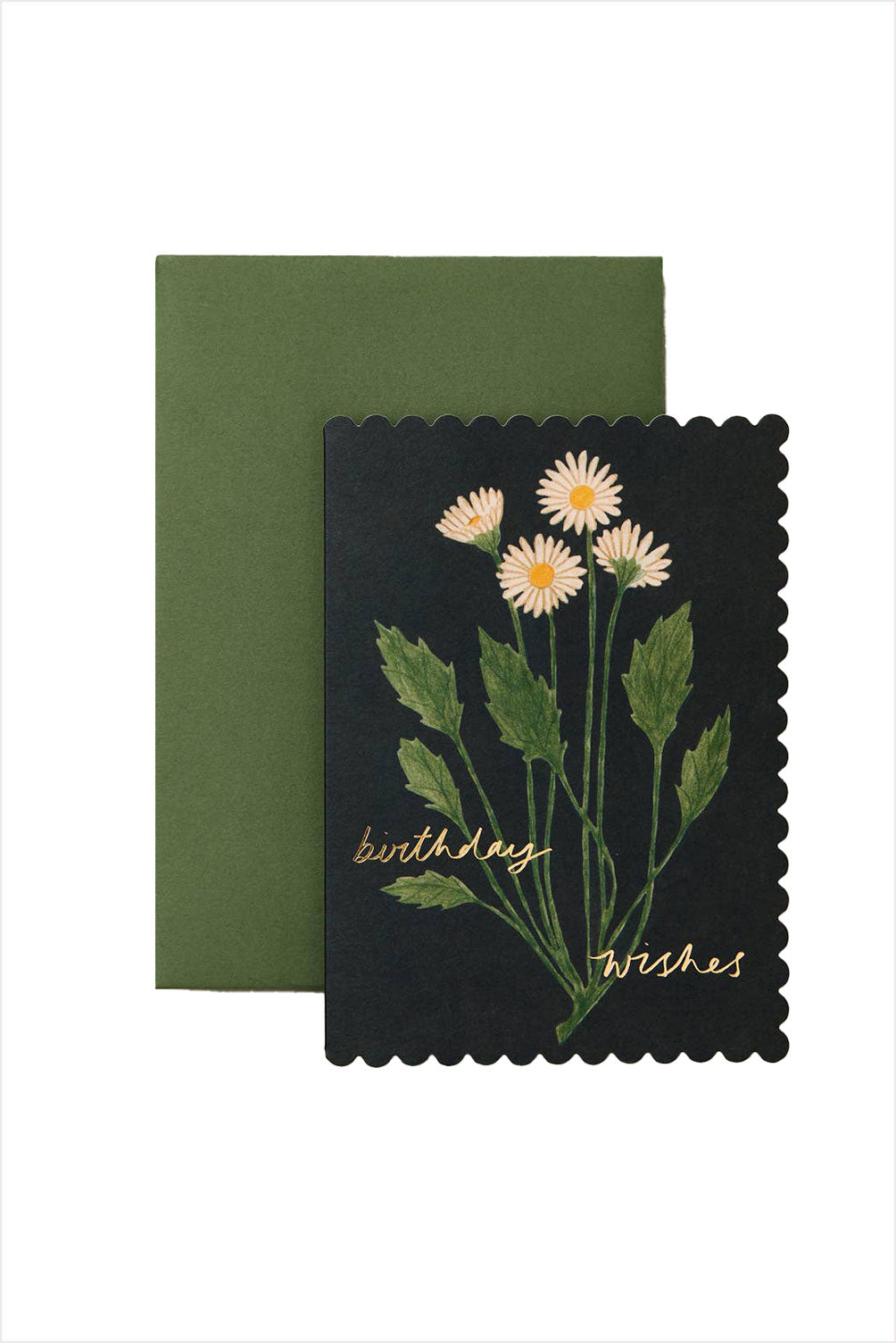 Botanical Daisy Birthday Wishes Card