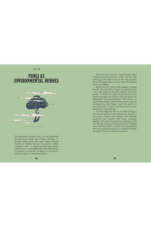 A Guide for the Curious: Mushrooms