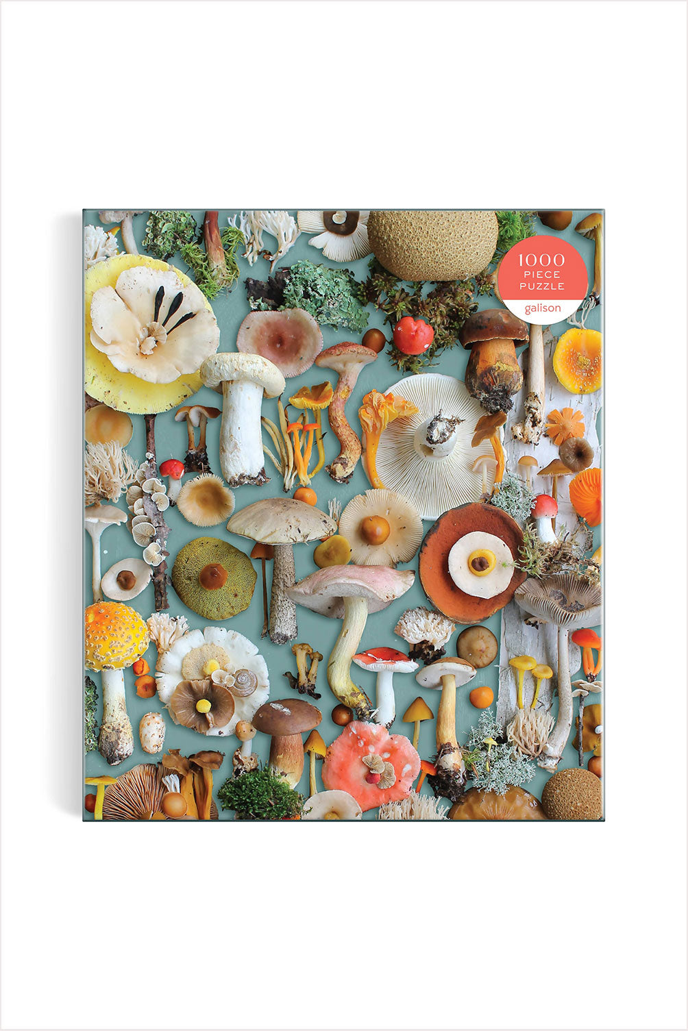 Forged Mushroom Puzzle