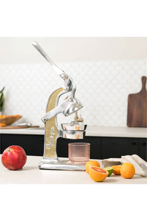 Mexican Citrus Juicer Gold