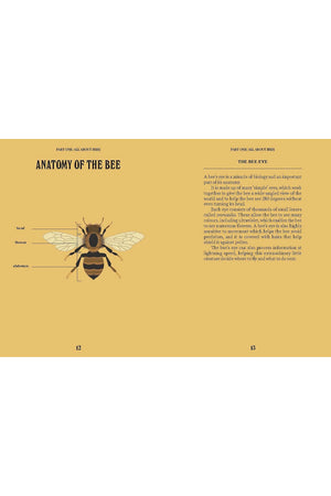 A Guide for the Curious: Bees