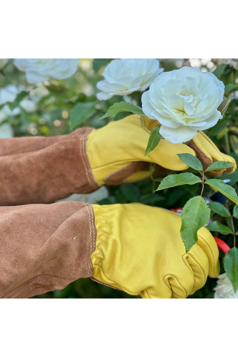 Long Garden Gloves