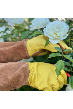 Long Garden Gloves