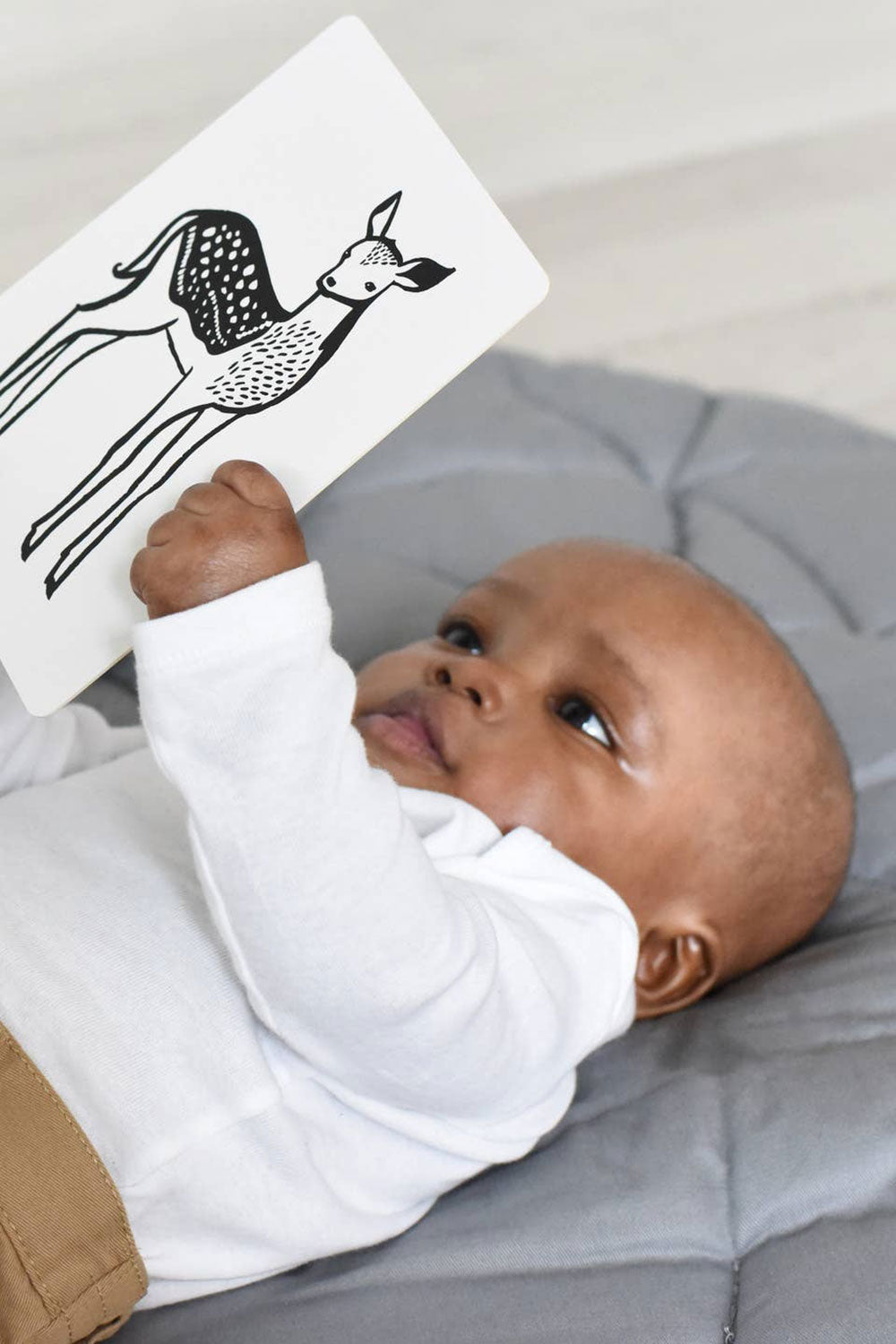 Black and White Animal Art Cards