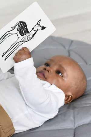 Black and White Animal Art Cards