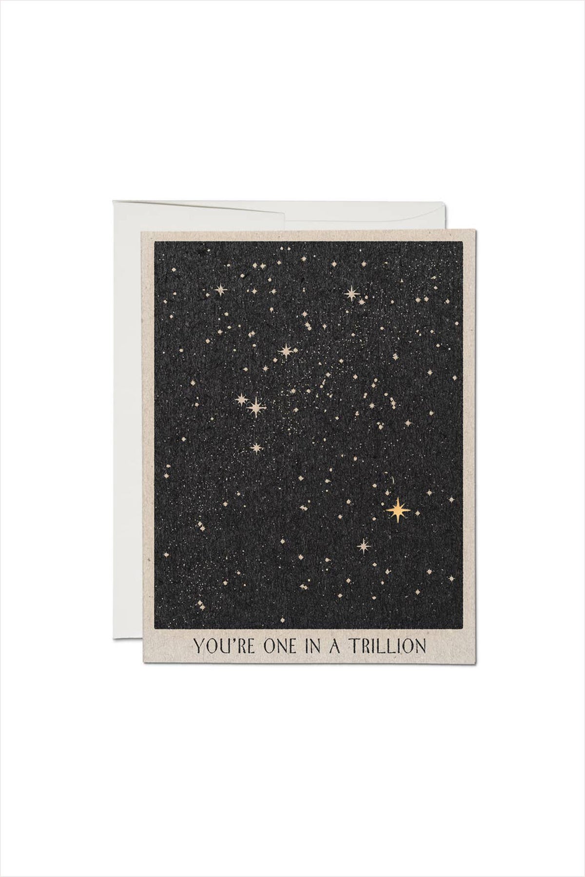 One in a Trillion Friendship Greeting Card