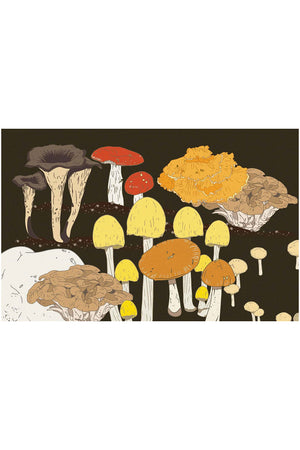 A Guide for the Curious: Mushrooms