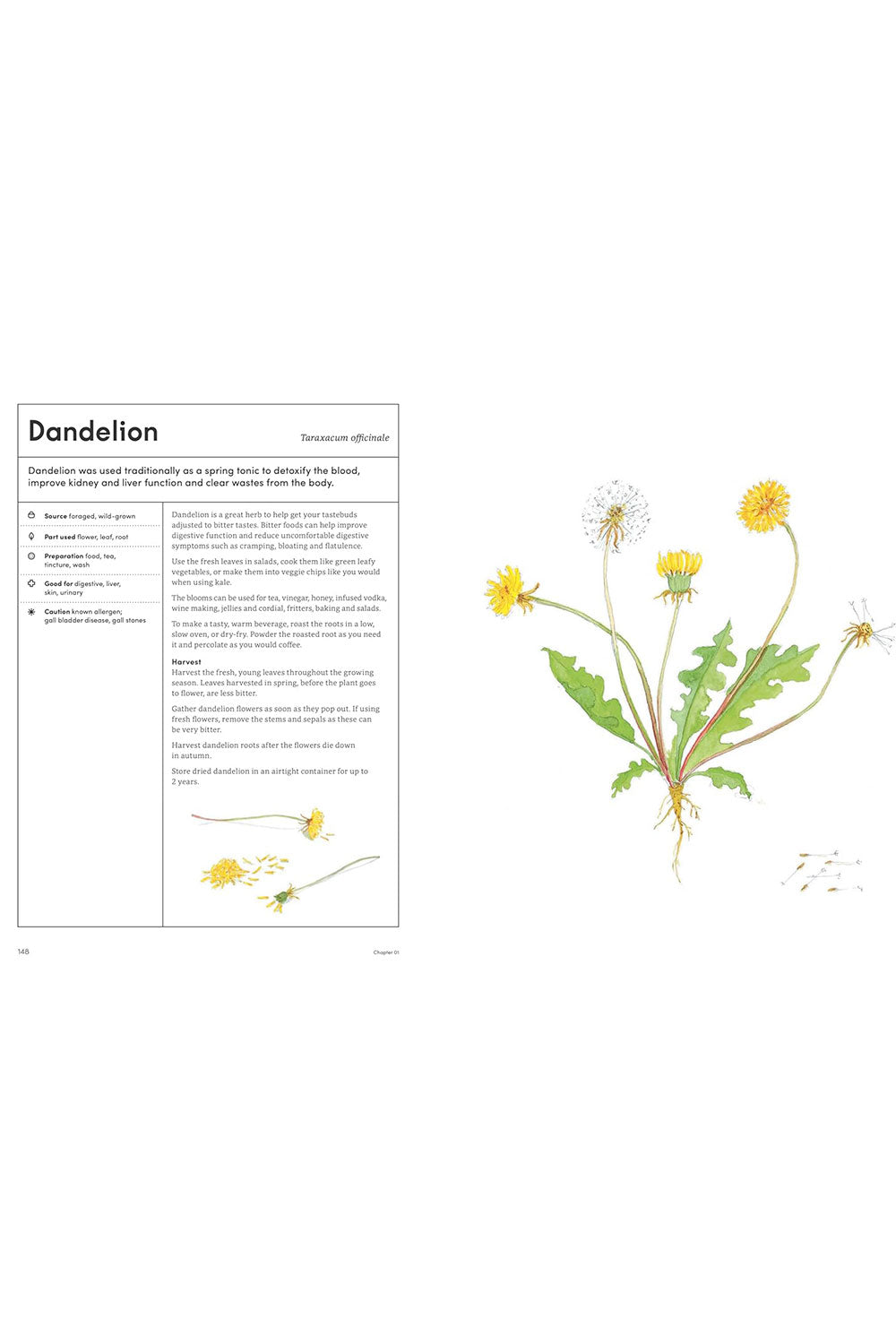 Healing Garden: Cultivate Your Garden to Treat, Feed, and Soothe