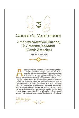 Mushroom Foraging and Feasting: Recollections and Recipes from a Lifetime on the Hunt