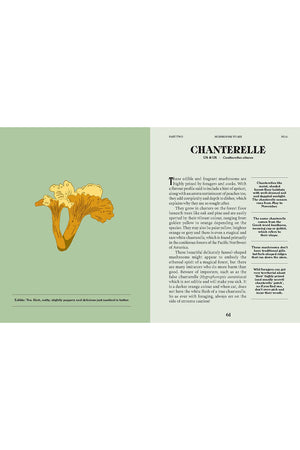 A Guide for the Curious: Mushrooms